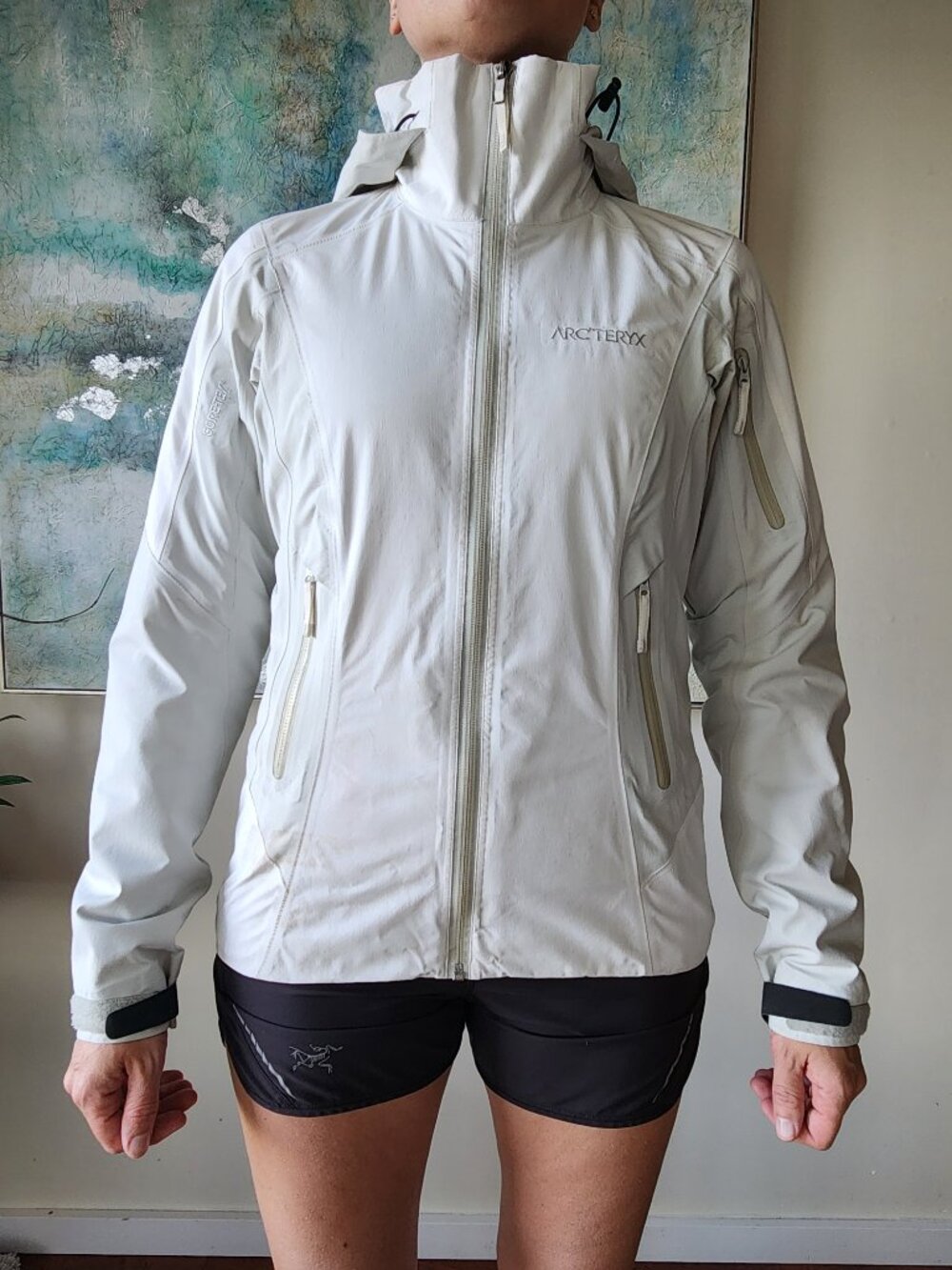 Arc'teryx Rush Jacket - Women's XS